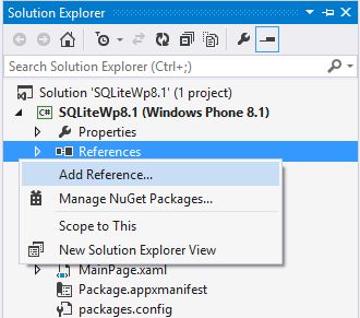 Open Solution explorer